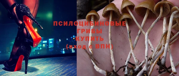 дживик Баксан