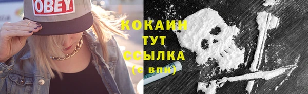 дживик Баксан