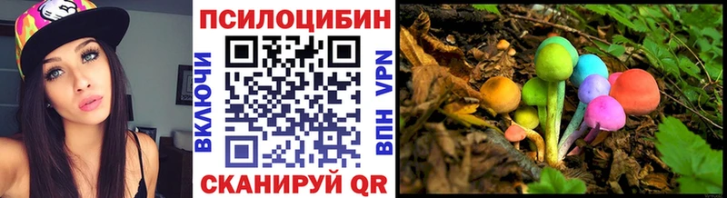 Галлюциногенные грибы Psilocybine cubensis  Балабаново 