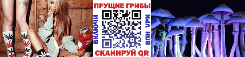Псилоцибиновые грибы мухоморы Балабаново